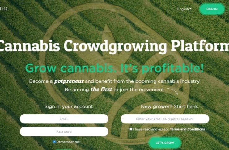 Juicy Fields scam platform cannabis kweken