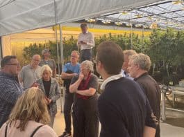 Duitse wetgevers bezoeken californie kwekerijen cannabiswinkels