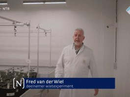 Fred van der Wiel Fyta Waalwijk wietexperiment teler nieuwsuur