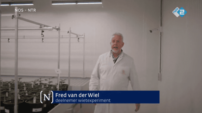 Fred van der Wiel Fyta Waalwijk wietexperiment teler nieuwsuur