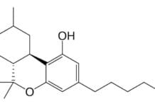 Trimbos: ‘HHC zal ook in Nederland binnenkort onder de Opiumwet vallen’ Hexahydrocannabinol HHC
