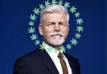nieuwe tsjechische president petr pavel pro-cannabis legalisatie