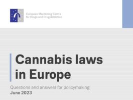 Europees Drugsagentschap (EMCDDA) publiceert een rapport over cannabiswetgeving en de mogelijke impact op de volksgezondheid en veiligheid