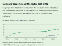 Cannabis gebruik onder Amerikaanse volwassenen van 1969-2023