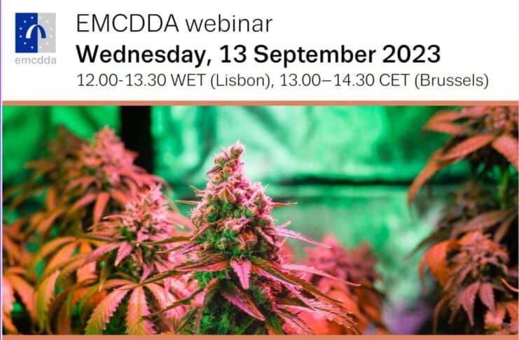 EMCDDA webinar Cannabis regulation in Europe country experiences