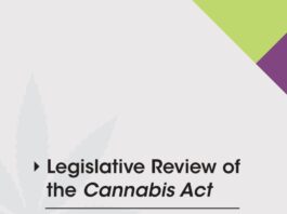 Tussentijdse evaluatie legalisatie van cannabis in Canada 'What we heard'