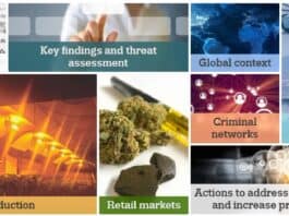 EMCDDA Europese cannabismarkt analyse