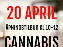 cannabis cafe 20 april opening oslo noorwegen