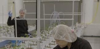 KRO-NCRV 2Doc: Legale wiet deel II