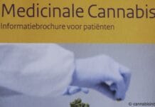 Nieuw Trimbos-onderzoek onthult drempels medicinale cannabis toegang: kosten en kennis Medicinale cannabis in Nederland