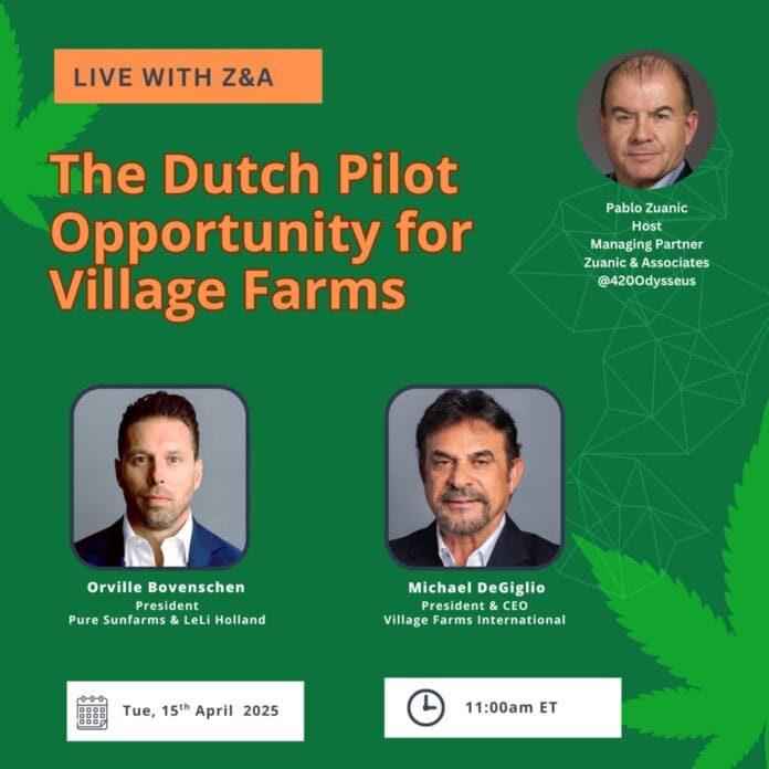 Village Farms en Leli Holland centraal in webinar over Nederlands wietexperiment