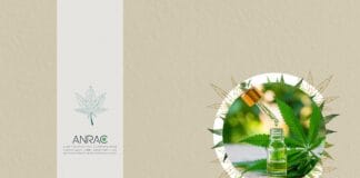 Marokkaanse agentschap ANRAC B2B missie Amsterdam