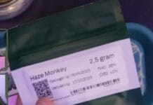 Achtste wietexperiment teler Linsboer sinds vandaag aan het leveren Linsboer Haze Monkey