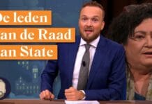 Wat is en doet de Raad van State precies? Lubach legt het uit