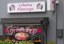 Coffeeshop Flamingo Driebergen-Rijsenburg