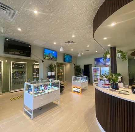 Green Comfort Dispensary in Rochester New York