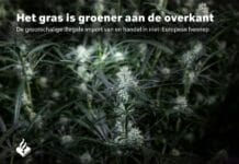 Politie: ‘Nederlandse criminelen liften mee op internationale cannabishandel’ Voorkant politierapport 'Het gras is groener aan de overkant De grootschalige illegale import van en handel in niet-Europese hennep'