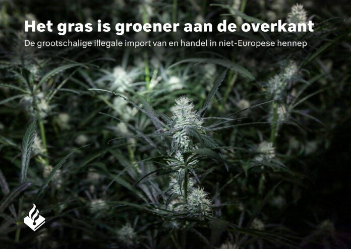 e36d5d32-e165-48f7-944f-400b39617ace-images-0 Voorkant politierapport 'Het gras is groener aan de overkant De grootschalige illegale import van en handel in niet-Europese hennep'