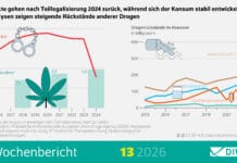 Cannabisgebruik niet gestegen na gedeeltelijke legalisering in Duitsland