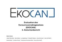 Tussentijdse evaluatie cannabis legalisering in Dutisland