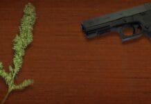 Amerikaans Hooggerechtshof cannabisgebruiker mag vuurwapen bezitten