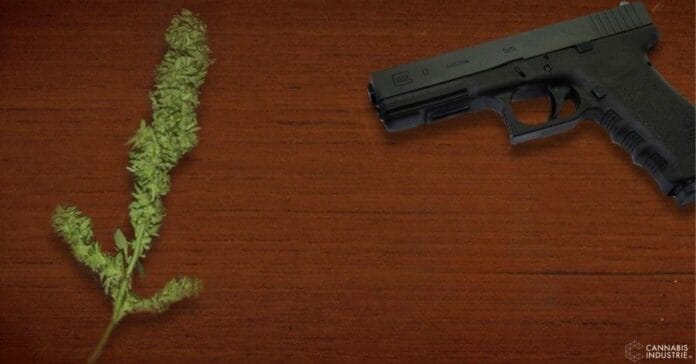 Amerikaans Hooggerechtshof cannabisgebruiker mag vuurwapen bezitten