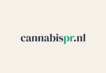 Adverteren als cannabisbedrijf: wat werkt als Google en Meta je blokkeren