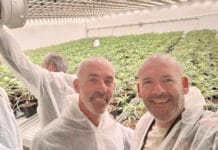 Column Edwin Bax: De cannabisbranche moet uit de schaduw stappen! Sander Hewitt en Edwin Bax