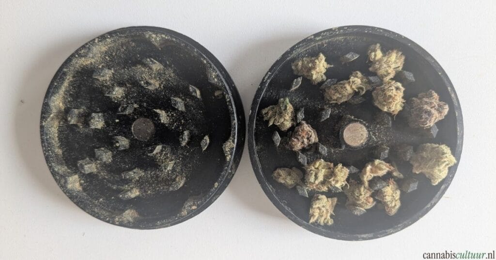 Pot by Noids review 10 gram wiet grinder