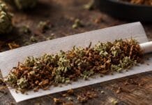 Column Edwin Bax: Hoe verslavend is die joint eigenlijk?